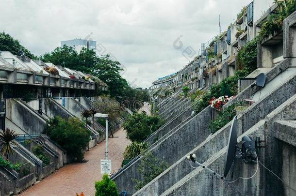 罗利道路台地的房间