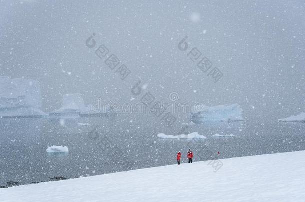 两个旅行者采用红色的外套向一<strong>雪原</strong>,snow采用gh一rd湿的he一vy