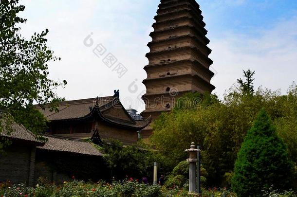 小的野生的鹅塔庙复杂的,中国