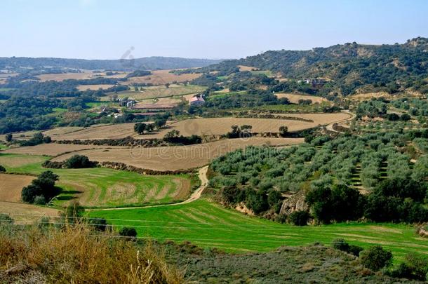 典型的西班牙的乡下的风景,农业的田关于西班牙北部地方