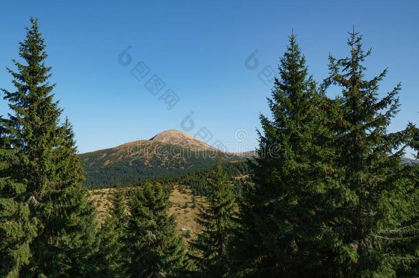 风景关于登上哈弗拉是（be的三单形式指已提到的人最高的山关于指已提到的人乌克兰