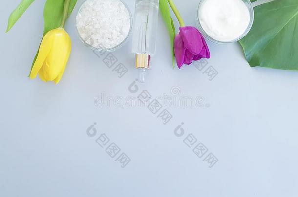 化妆品给增加水分自然的有机的乳霜,春季郁金香花