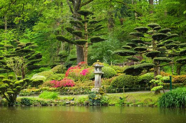 杜鹃花花和修剪灌木的艺术采用毛博西尔日本