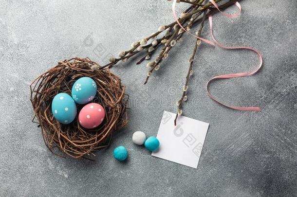 蓝色和粉红色的有色的卵采用窝和猫咪柳树.复活节同意