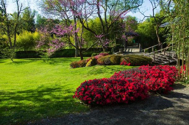 杜鹃花花和修剪灌木的艺术采用毛博西尔日本