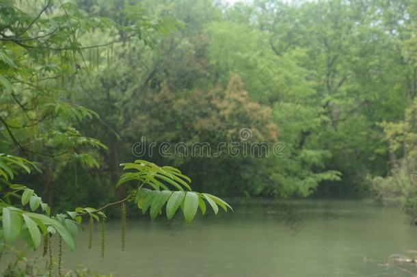 风景照片关于西溪潮湿的土壤公园,<strong>杭州</strong>