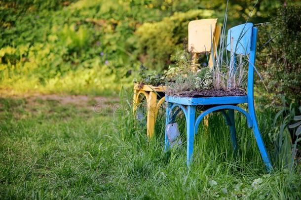 木制的椅子风景园艺