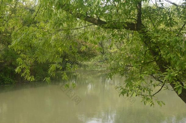 风景照片关于西溪潮湿的土壤公园,杭州