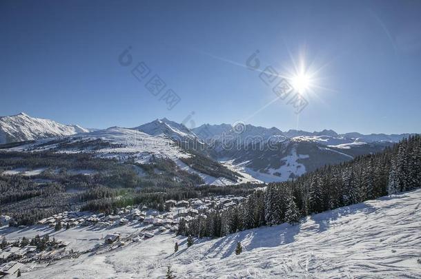 冬山森林风景向一和煦的：照到阳光的d一y采用Austri一