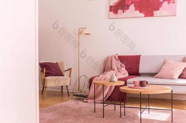 灯在之间扶手椅和沙发和粉红色的和红色的毛毯采用平的