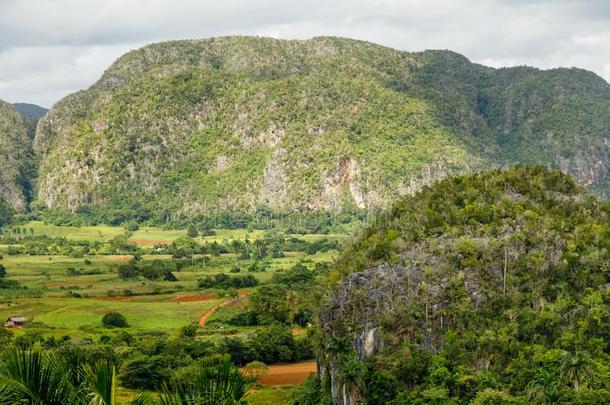 绿色的加勒比海山谷和莫戈特斯小山风景,<strong>万岁</strong>,圆周率
