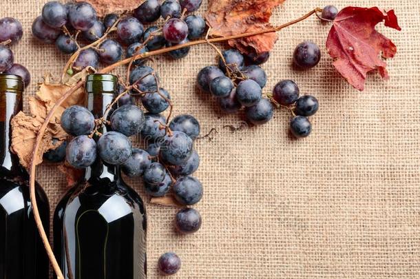 红色的葡萄酒瓶子和葡萄和干燥的在上面藤树叶