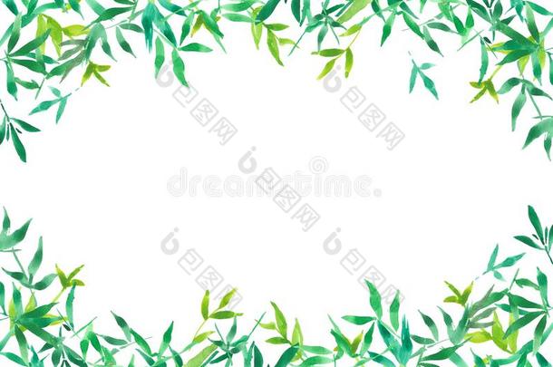 绿色的竹子树叶框架为背景,水彩植物图解