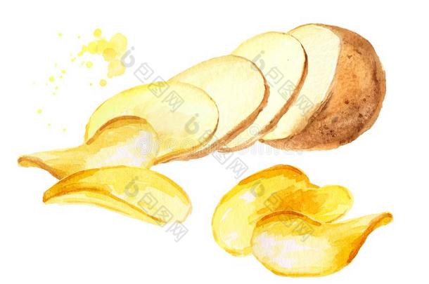 自然的生的马铃薯部分旋转进入中炸马铃薯条.水彩手资料暂存器