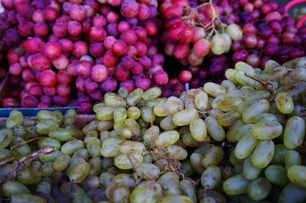 种种关于甜的葡萄丛零售展览在新疆,希腊字母的第22字