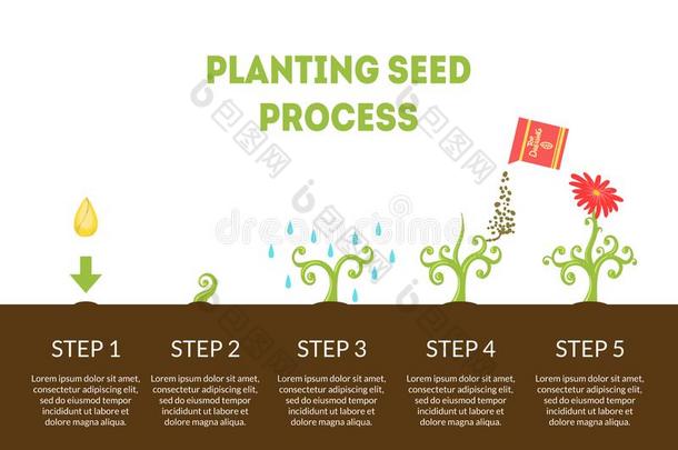 种植<strong>种子过程</strong>横幅,台关于<strong>生长</strong>关于花从Sweden瑞典