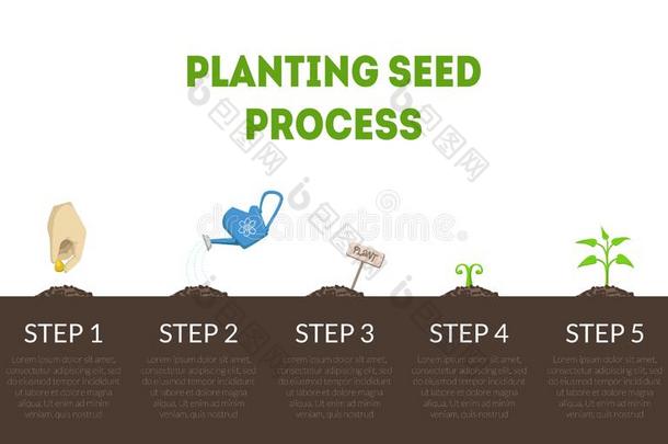 种植种子<strong>过程</strong>横幅,台关于<strong>生长</strong>关于植物从看见