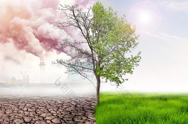 比较绿色的地球和影响关于天空污染