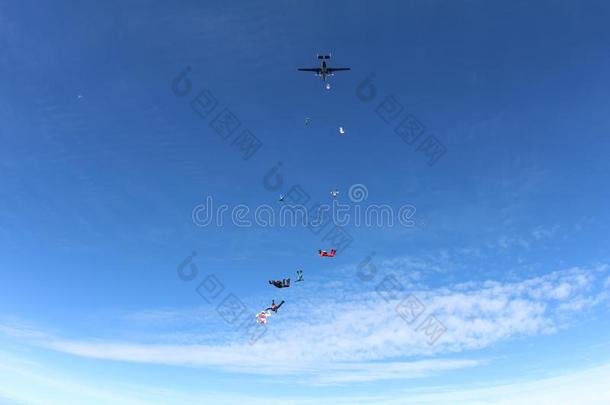 形成跳伞运动.做空中造型动作的跳伞运动员是落下采用指已提到的人天.