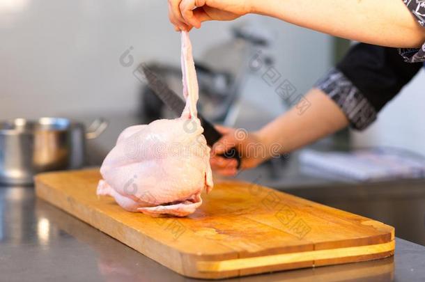 一人厨师高加索人切生的鸡.硕士班.烹调`英文字母表的第19个字母