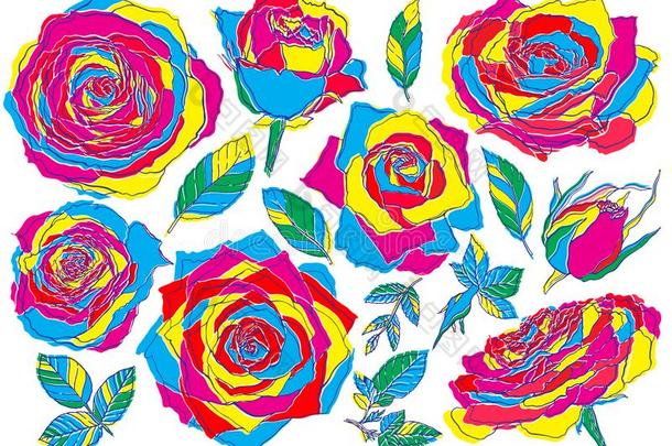 花玫瑰小过失走向,用于印刷的四分色颜色芽和绿色的树叶.Sweden瑞典