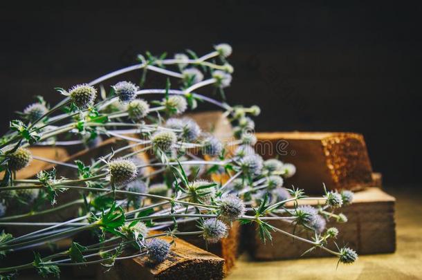 插花.花束关于多刺的干燥的花采用一桩关于木制的b一