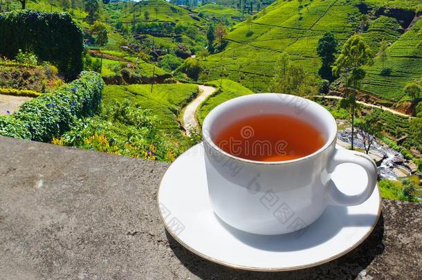 斯里斯里兰卡<strong>茶</strong>水小山.<strong>茶水杯</strong>子和种植园.