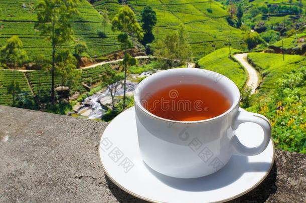 斯里斯里兰卡茶水小山.茶水杯子和种植园.