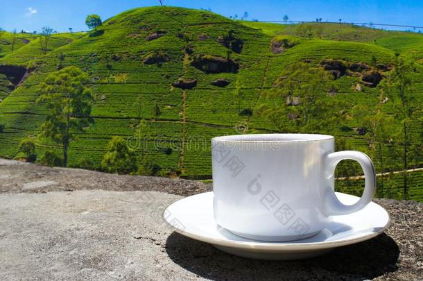 斯里斯里兰卡茶水小山.茶水杯子和种植园.