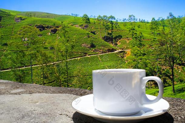 斯里斯里兰卡<strong>茶</strong>水小山.<strong>茶水杯</strong>子和种植园.