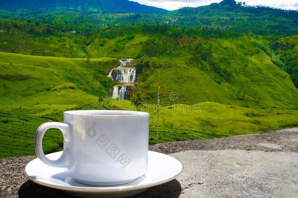 斯里斯里兰卡茶水小山.茶水杯子和种植园.