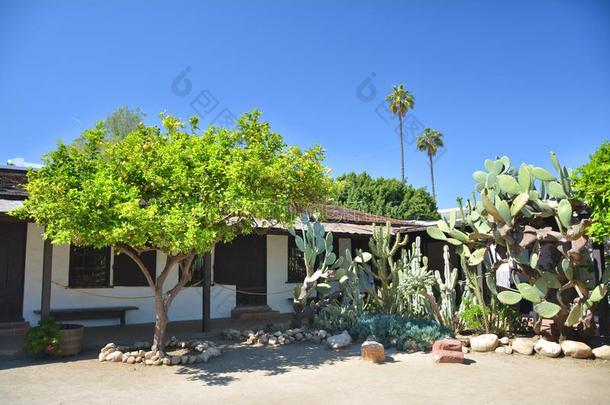 仙人掌和<strong>柠檬树</strong>采用阿维拉粘胶草杆纤维风干土坯花园采用Los安杰利斯的简称安杰利斯