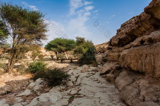 一干涸河道在近处一bu济凡堡垒,利雅得省份,沙特阿拉伯国家的一rabia