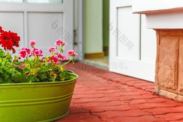 指已提到的人布置在外面指已提到的人房屋,粉红色的和红色的天竺葵采用一met一l英语字母表的第7个字母