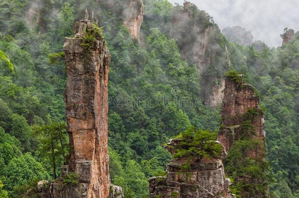 天子化身山自然公园-七月中国