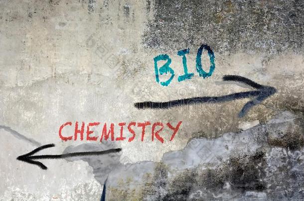大街在墙上的乱涂乱写个人简历对化学