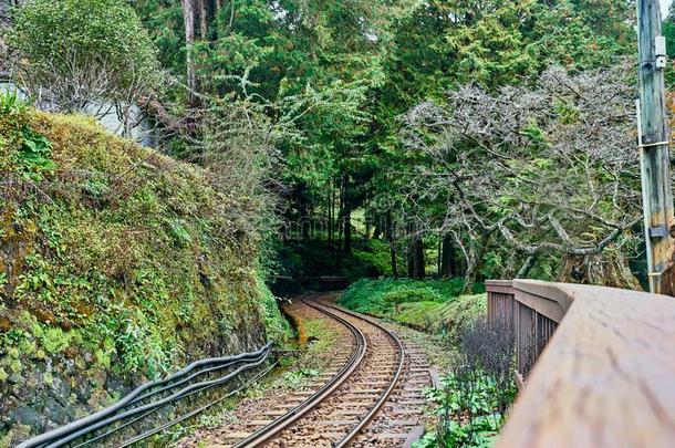 美丽的风景关于铁路通过<strong>阿里山</strong>森林