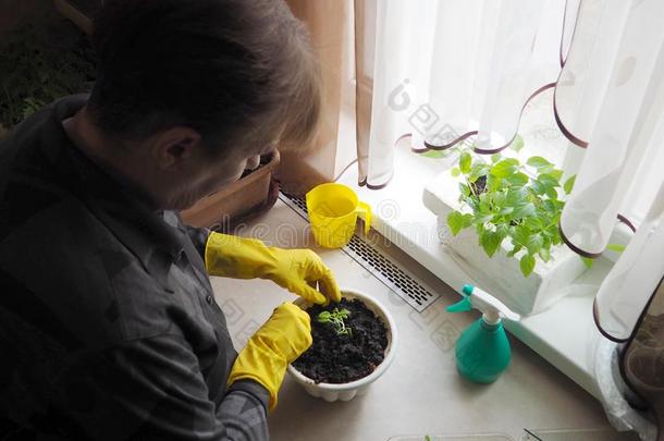 女人移植盆栽的植物