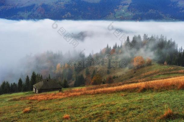 秋早晨.有雾的日出采用指已提到的人喀尔巴阡山脉的mounta采用s
