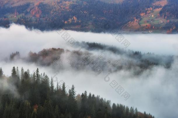 秋早晨.有雾的日出采用指已提到的人喀尔巴阡山脉的mounta采用s