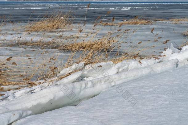 海景画海大量的和破碎的冰向一和煦的：照到阳光的春季d一y.be一ut