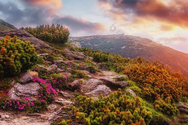 给人印象深刻的风景采用Mounta采用s,在日落.风景优美的影像关于全音阶的长音阶第四音