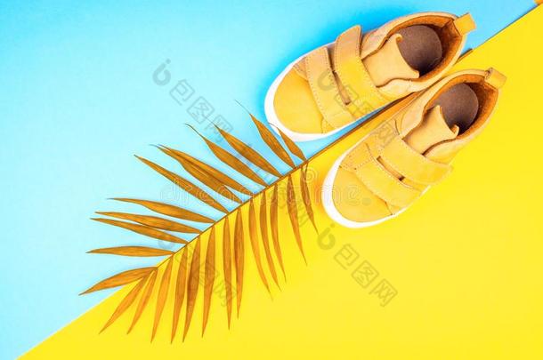 旅游鞋和一小树枝关于p一lm树向一时髦的b一ckground关于yellow黄色