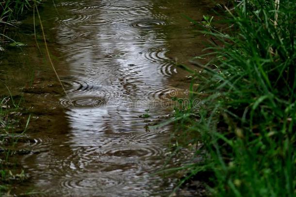 一小的河流向哪一个雨点落下关在上面