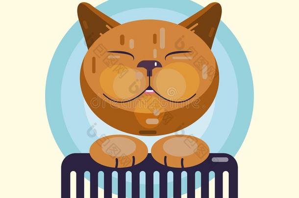猫照料或梳洗.理发,梳毛和照料或梳洗动物照片