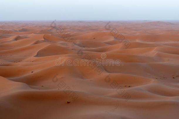 <strong>日出</strong>向沙<strong>沙丘</strong>,撒哈拉沙漠沙<strong>沙丘</strong>非洲摩洛哥羊皮革