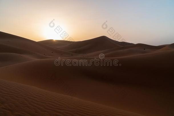日出向沙沙丘,撒哈拉沙漠沙沙丘非洲摩洛哥羊皮革