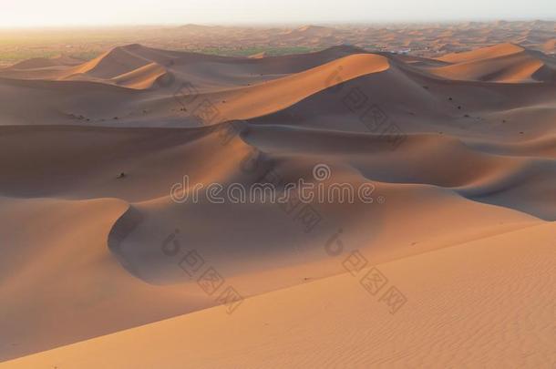 日出向沙沙丘,撒哈拉沙漠沙沙丘非洲摩洛哥羊皮革