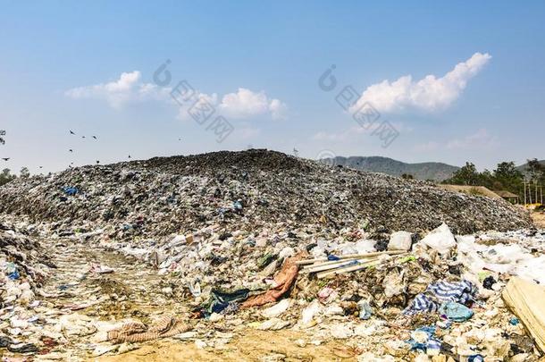 山大大地垃圾桩和污染,桩关于散发出恶臭和托西