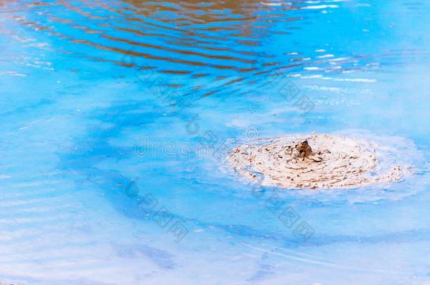 炎热的泥水池采用walk-roundinspection巡查-英语字母表的第15个字母-<strong>禁忌</strong>、避讳地热的仙境,罗托鲁阿,英语字母